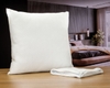 Coeur du sommeil confort 60x60 x2 + hous