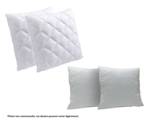 Coeur du sommeil confort 60x60 x2 + hous