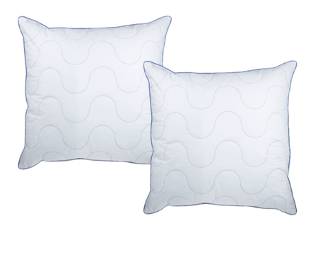 Dream care oreiller 60x60cm x2