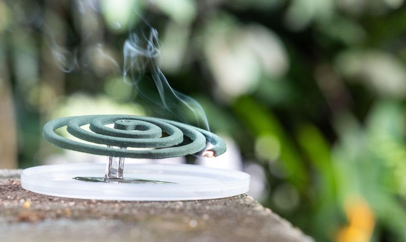 Nuisibles : comment s’en débarrasser efficacement ? Nuisibles : comment s’en débarrasser efficacement ?